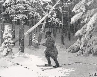 The Forest Ranger