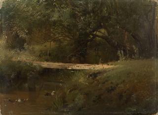Forest Lake