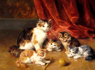 kittens playing