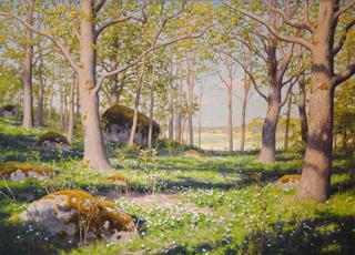 Spring landscape