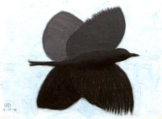 Bird in Flight
