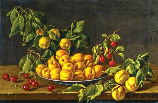 Apricots and Cherries