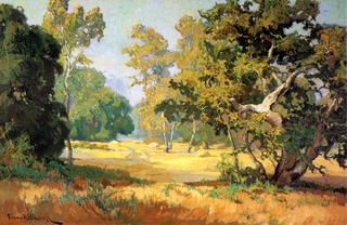 Summer Days, California Woodlands