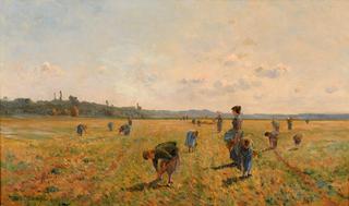 Harvest