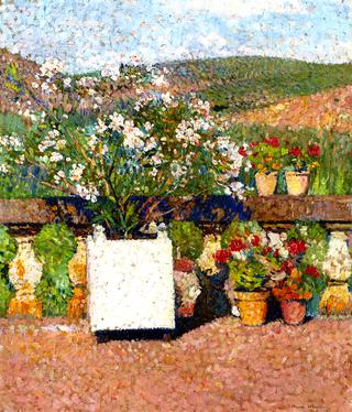 Planter with Oleanders and Pots of Geraniums on the Terrace at Marquayrol in Summer