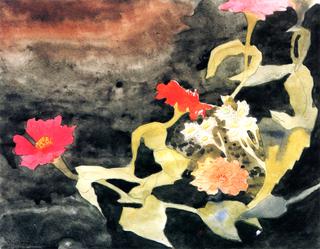 百日菊