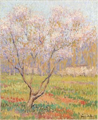 Trees in bloom