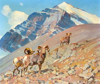 Rams on the Alert