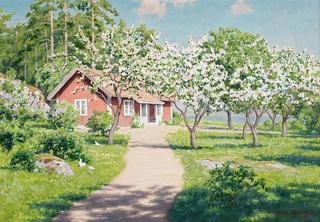 Cottage with flowering fruit trees