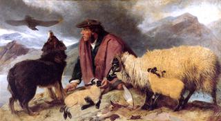 Highland Spate - Sheep Being Rescued from the Rocks