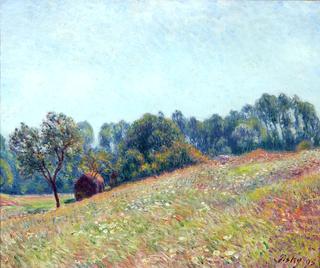 Le Vallon