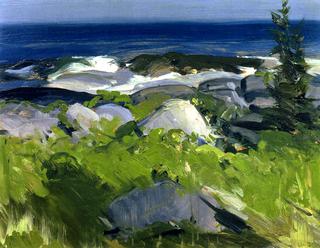 Vine Clad Shore - Monhegan Island