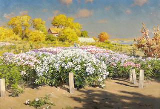Autumn landscape with phloxes