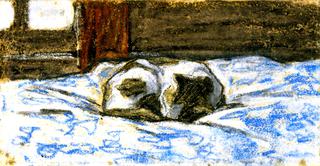 Cat Sleeping on a Bed
