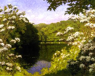 Lily Pond, Matunuck, Rhode Island