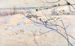 Winter Landscape
