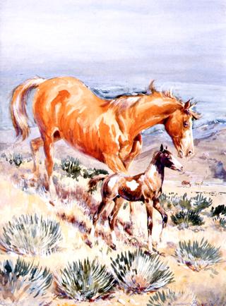 The Pinto Foal