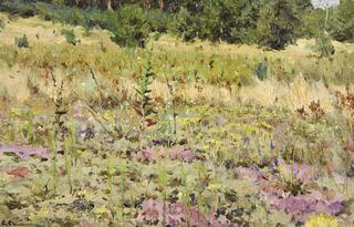 A Meadow