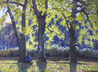 Sunny Woodlands
