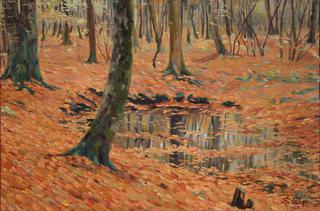 Forest Halatte