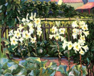 Lilies and Cabbage