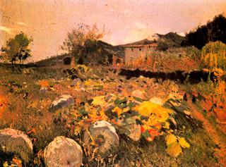 Campo de calabazas