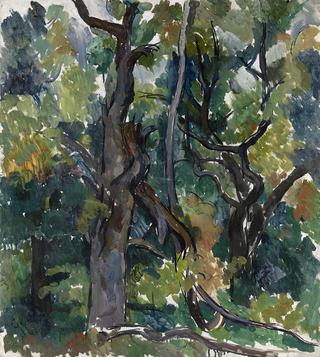 Oak Tree