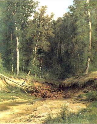 Woodland brook