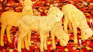 Les Moutons à Montorge