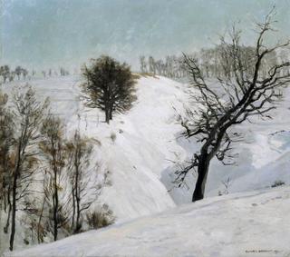 Snowy Fields (Wechselburg an der Mulde)
