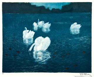 Swans