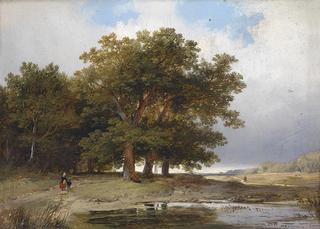 Landscape in summer