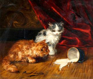 kittens