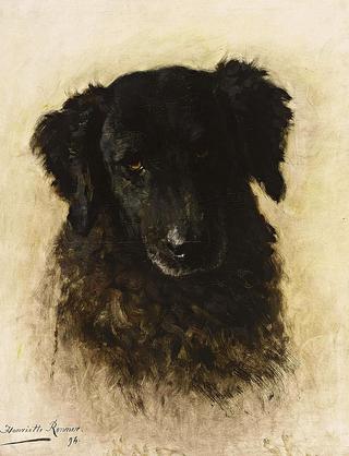 a dog