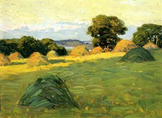 The Hill Field