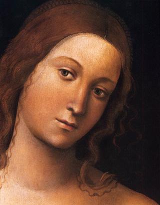 Venus (détail)