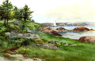 Pine Trees by the Coast
