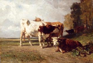 Vaches au repos (Cows Resting)