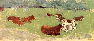Cows