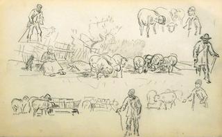 Study of sheeps and shepherds