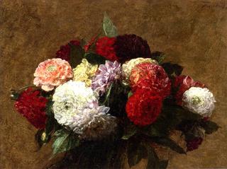 Dahlias