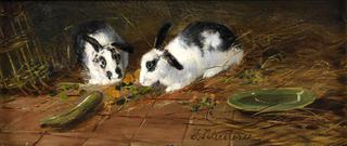Rabbits
