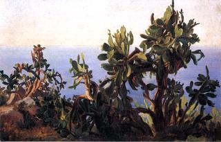 Study of a Prickly Pear