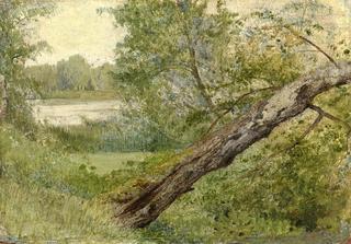 Tree by the Lake