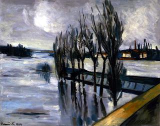 The Flooding of the Seine