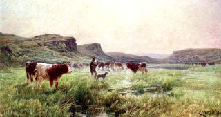 Cows in the Lyonnaise Region