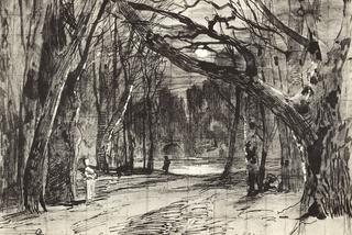 Moonlit Night in the Park