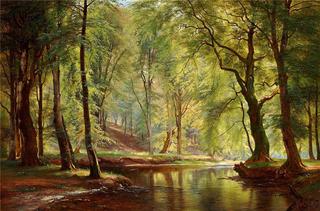 A Day in June in Lellinge Forest