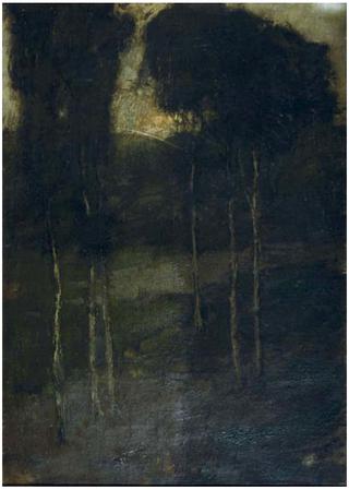Forest landscape