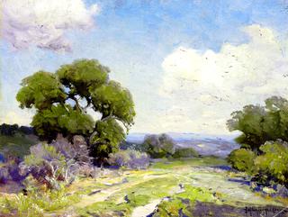 Morning in the Live Oaks, Boerne, Texas